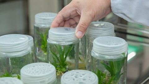 美国留学转学年级和转学花费