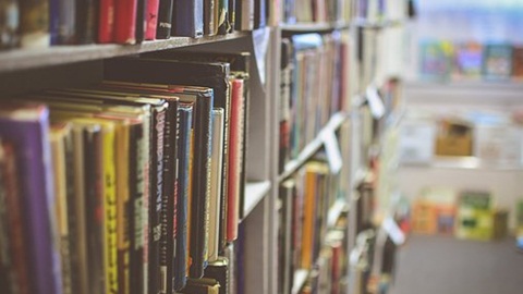 美国大学留学广撒网申请学校是什么样的