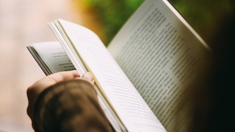 美国大学留学要考虑录取率和学校排名两个问题