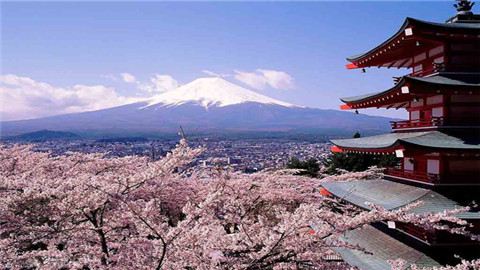 美国留学，美国考试，美国学校